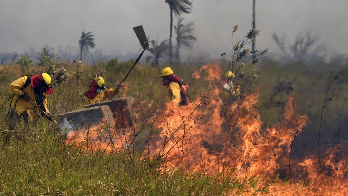Bolivie : 749.000 hectares ravagés par les flammes cette année