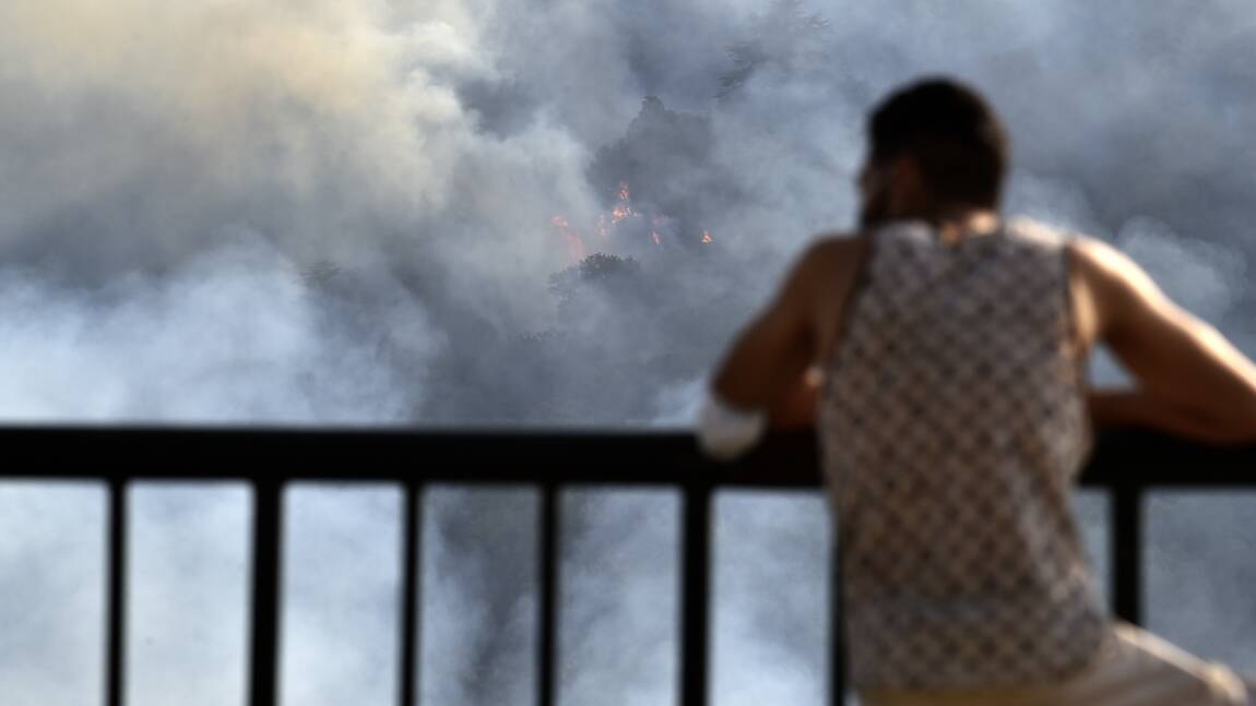 Algérie: la lutte contre les incendies progresse, une population sous le choc