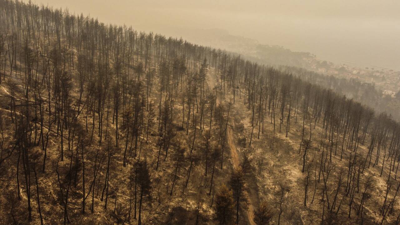 Les incendies en Grèce révèlent des "défaillances" dans la prévention des feux