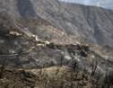 Algérie: tous les incendies ont été éteints