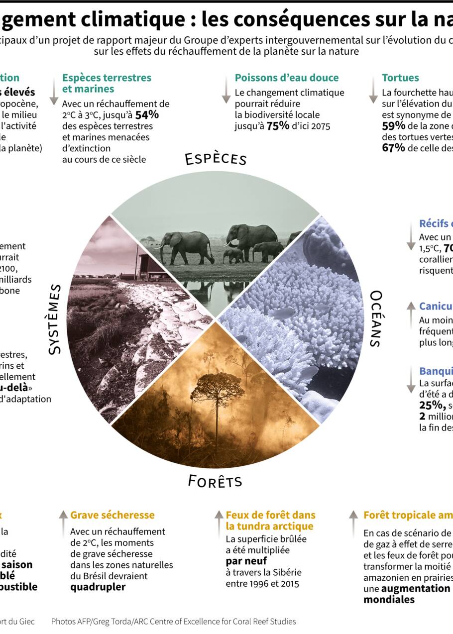COP15 sur la biodiversité: les négociations ont repris lundi en ligne