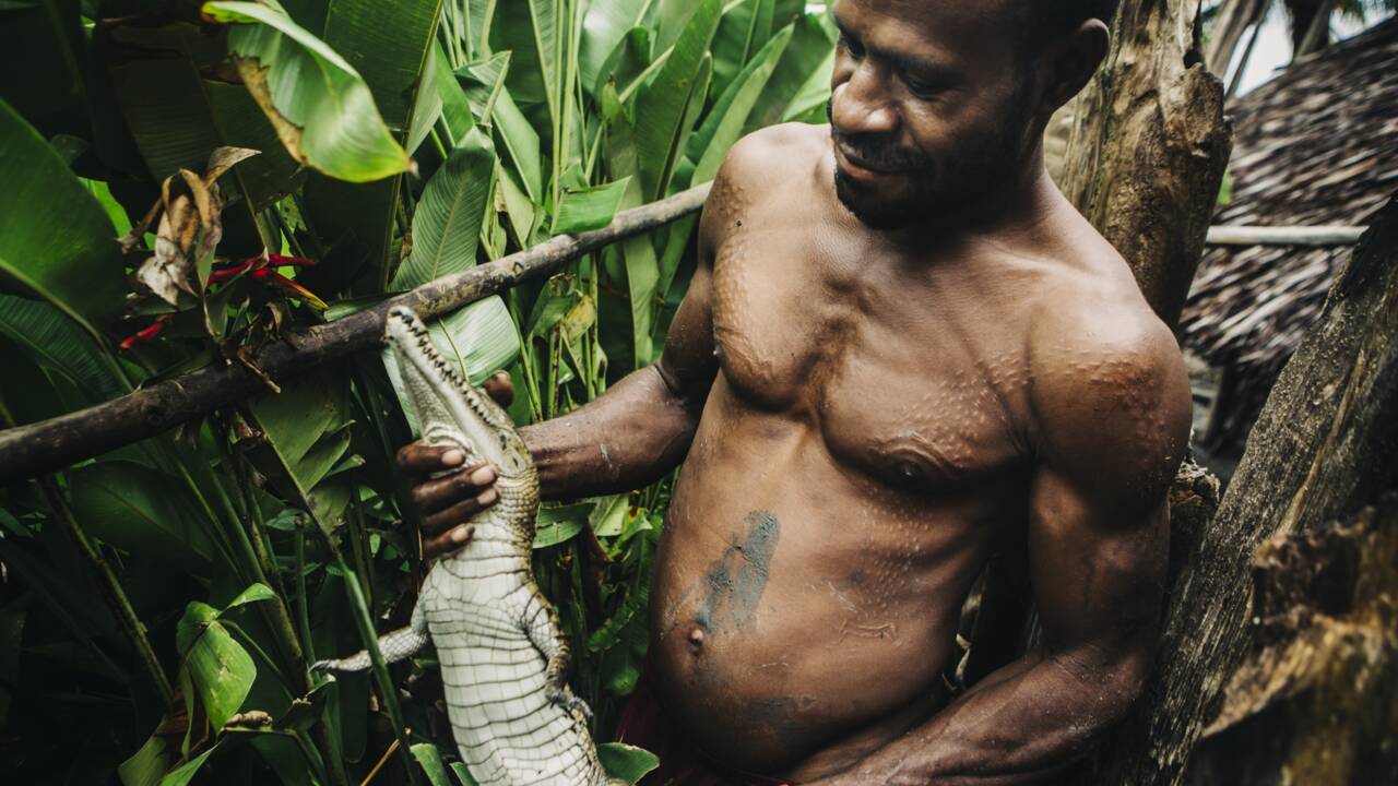 Hommes crocodiles de Papouasie-Nouvelle-Guinée : immersion chez ceux qui se scarifient pour avoir des écailles