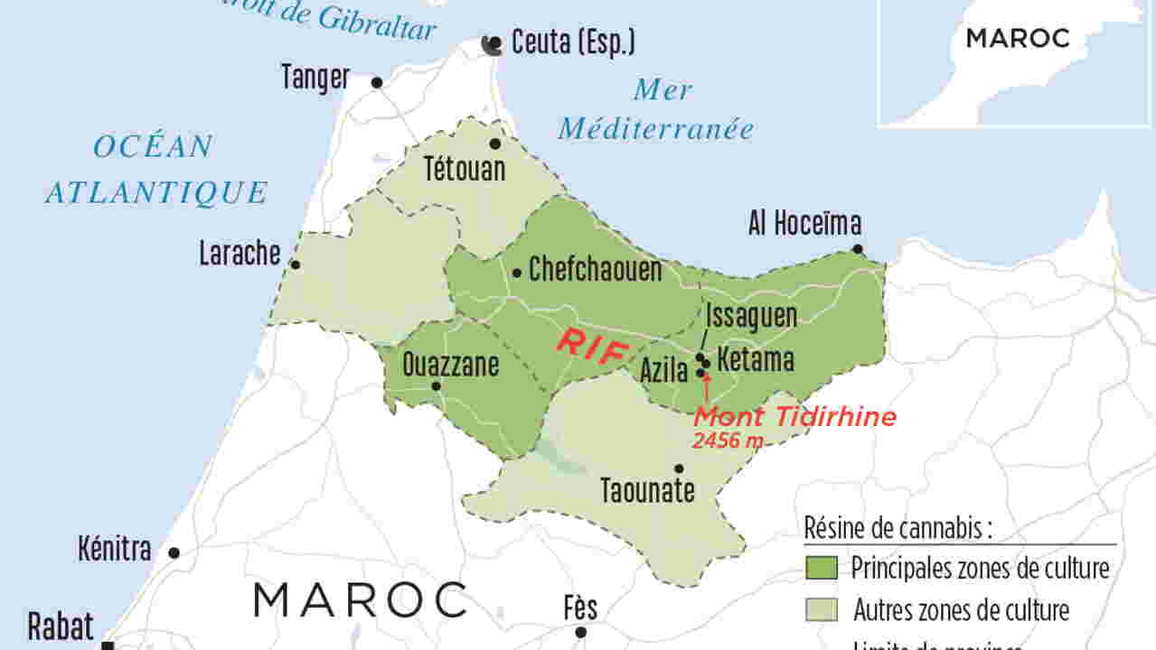 Cannabis : le kif du Rif, or vert du Maroc - Geo.fr