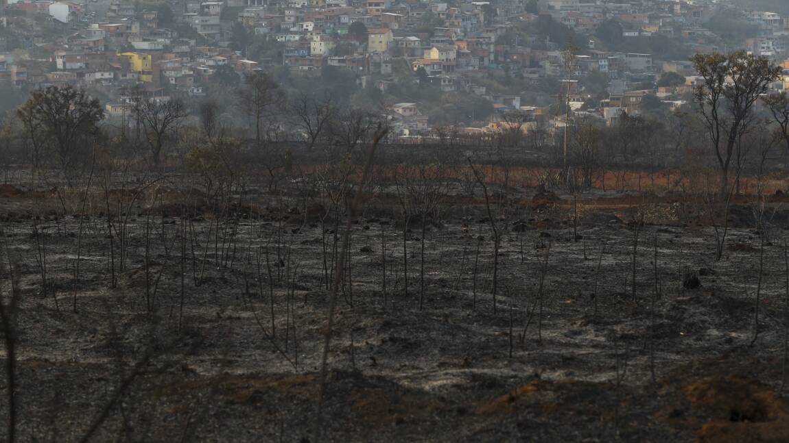 Brésil : un incendie dévaste un parc naturel près de Sao Paulo