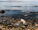 L'Espagne dévoile un plan pour sauver la mer Mineure de la pollution