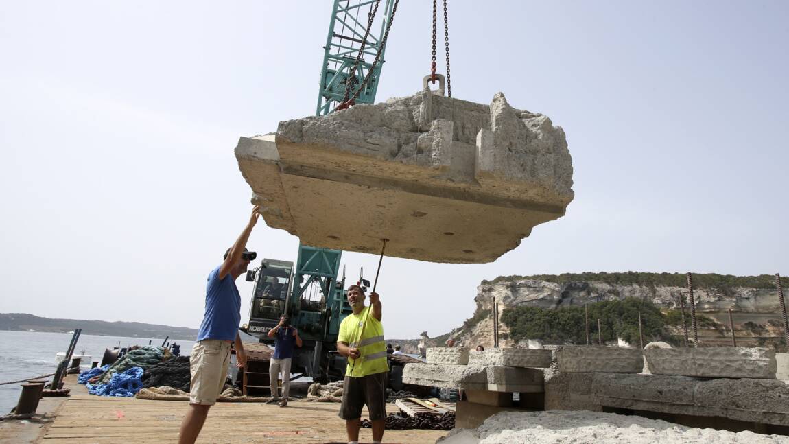En Corse, préserver la fragile posidonie face aux grands yachts