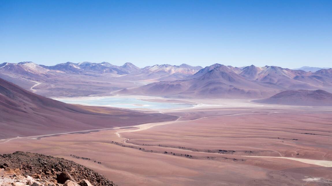 Les premiers horticulteurs du désert de l'Atacama brutalement assassinés il y a 3 000 ans