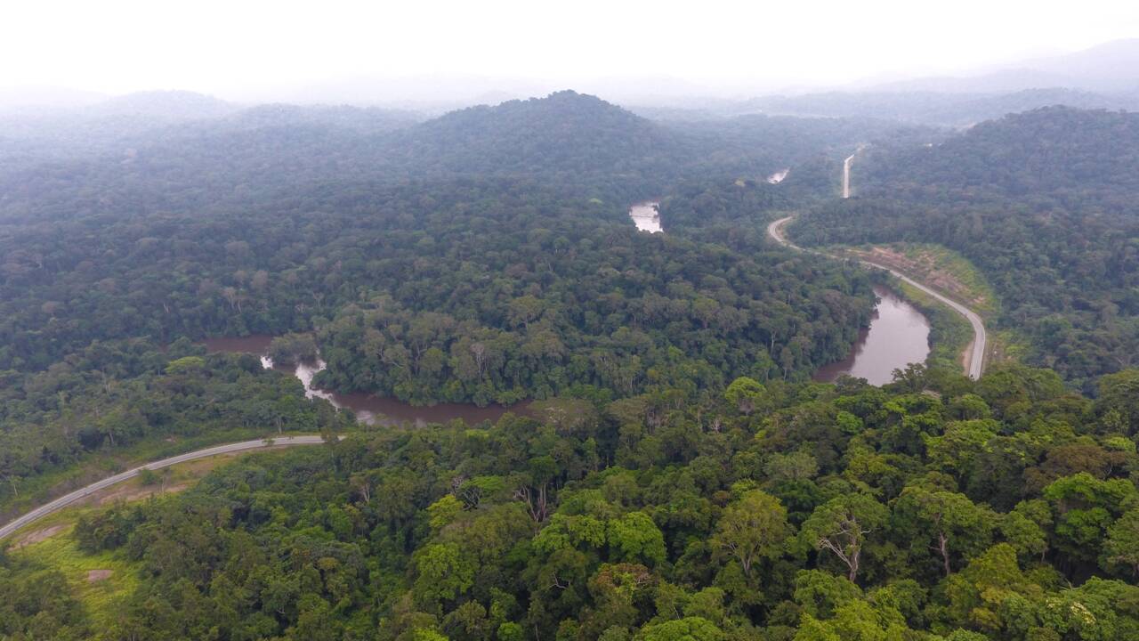Evaluer et financer le stockage de CO2: la forêt gabonaise en exemple