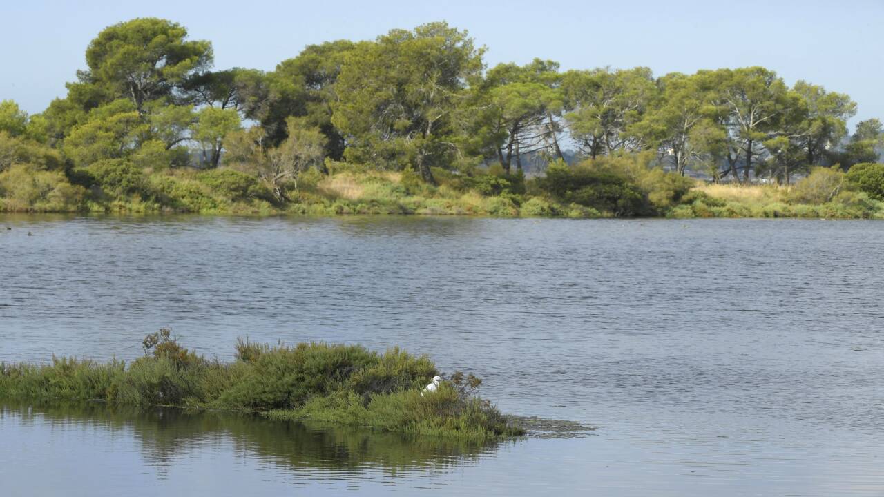 Changement climatique: les salins d'Hyères font sauter les digues et s'adaptent à la montée des eaux
