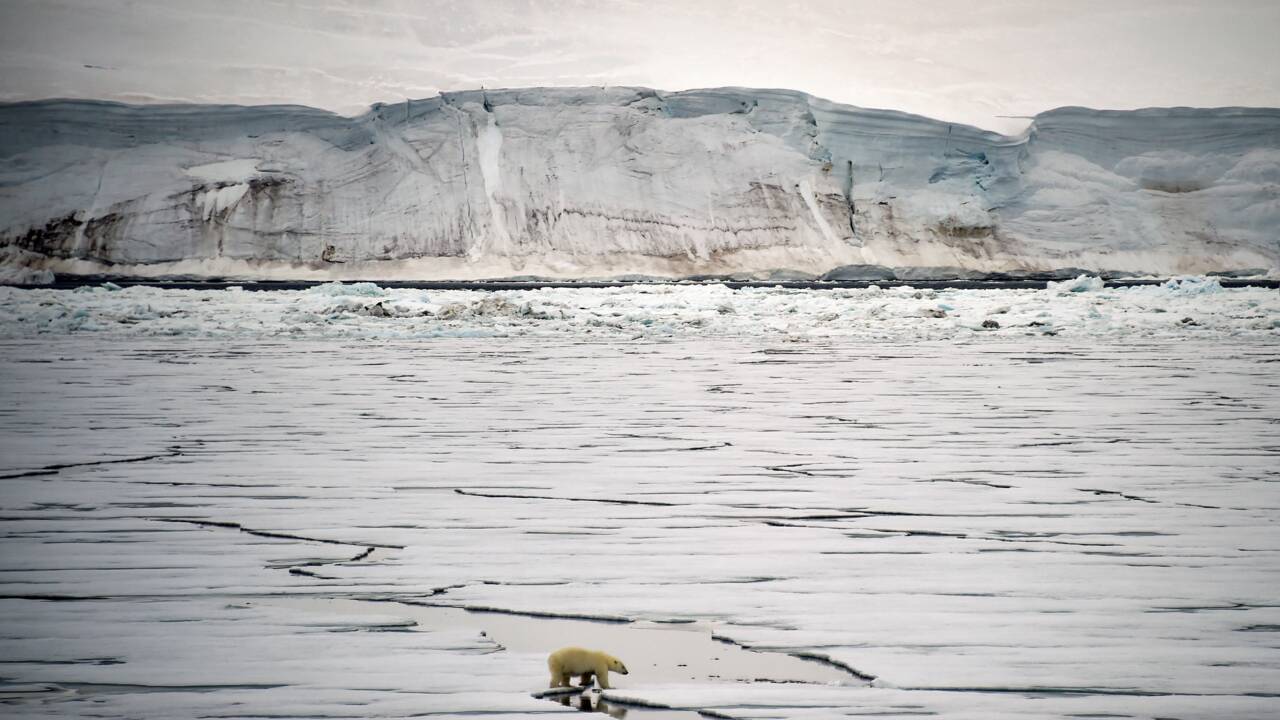 Aux abords du pôle Nord, la glace témoin et victime du réchauffement climatique