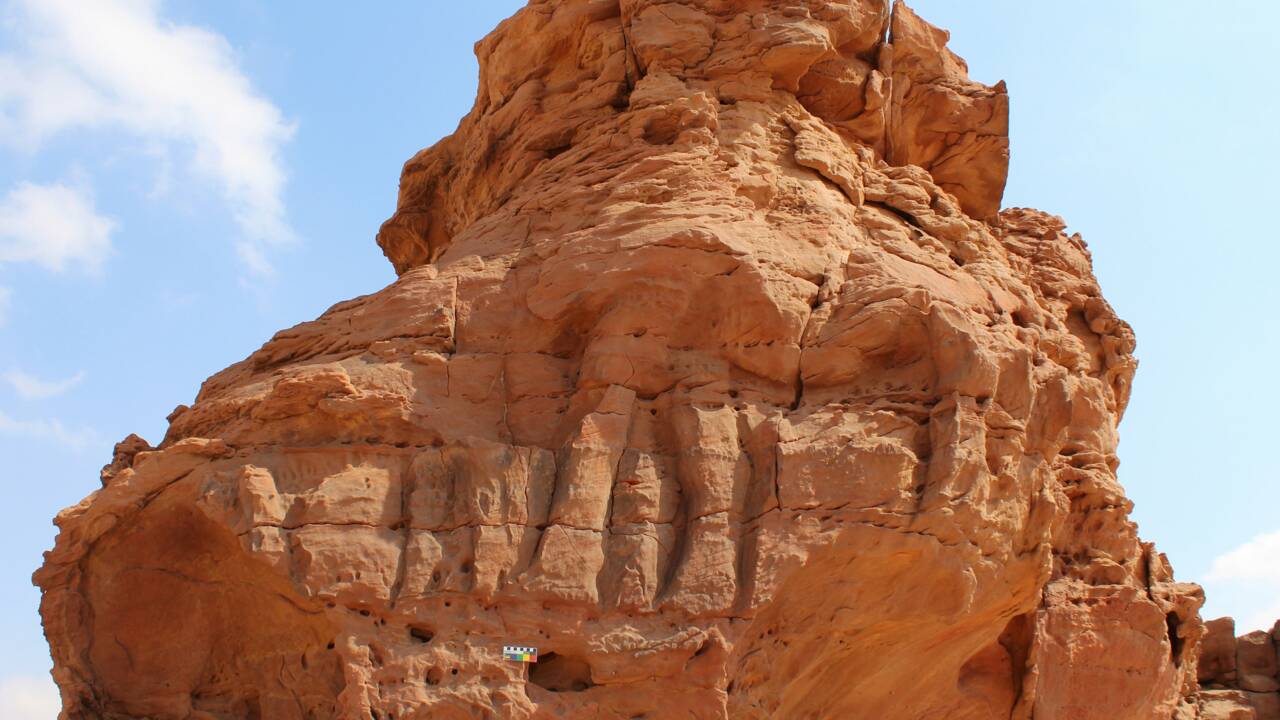 Ces sculptures de dromadaires découvertes dans le désert saoudien auraient plus de 7.000 ans