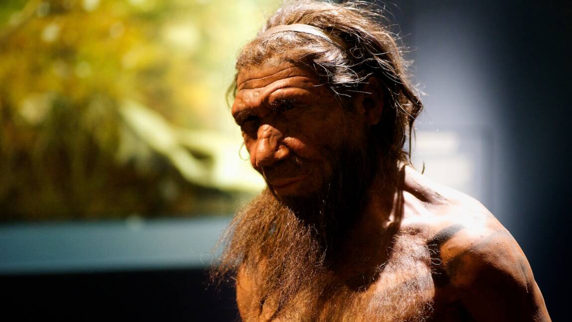 Des scientifiques se sont mis dans la peau de Néandertaliens pour comprendre comment ils chassaient