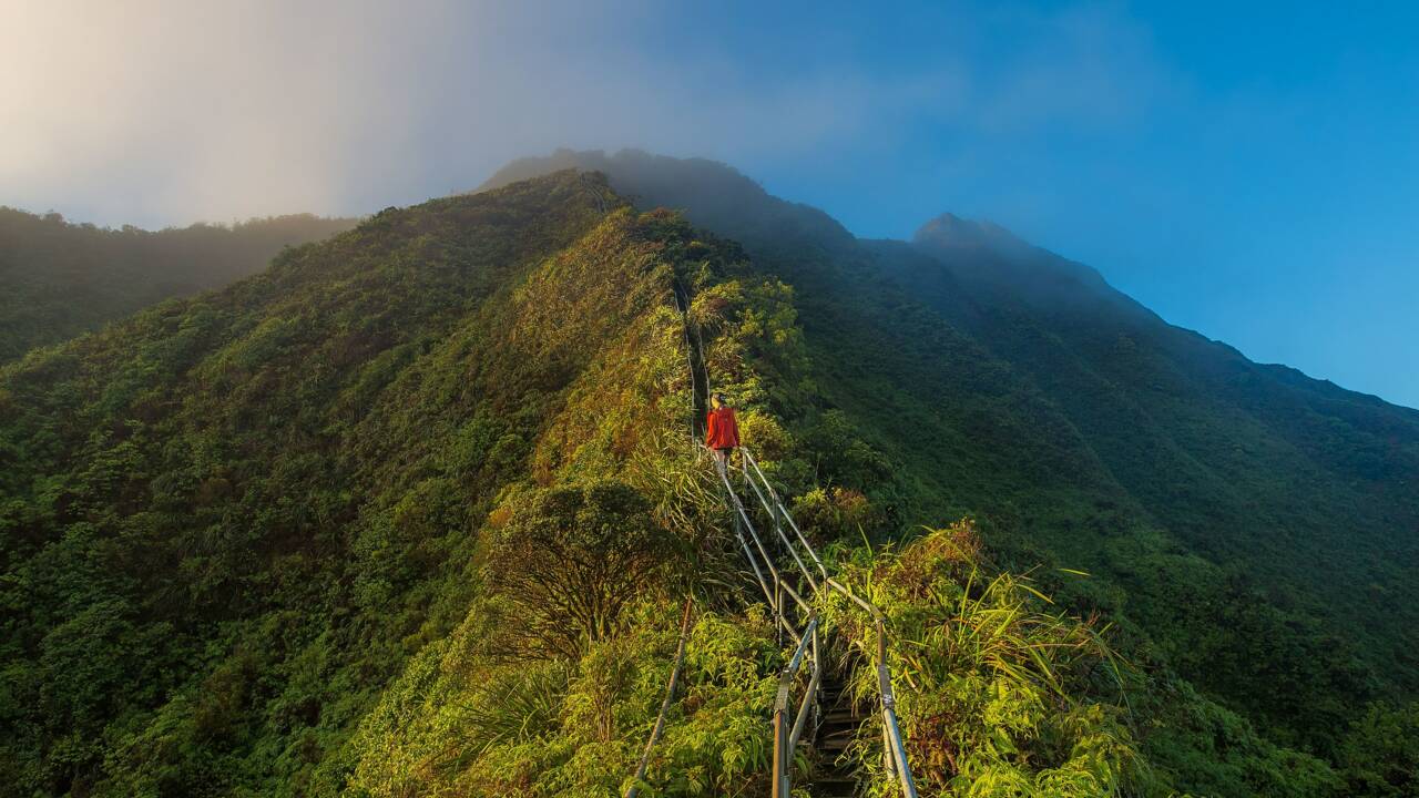 Haiku Stairs : trop dangereux, les escaliers légendaires de Hawaï vont être détruits