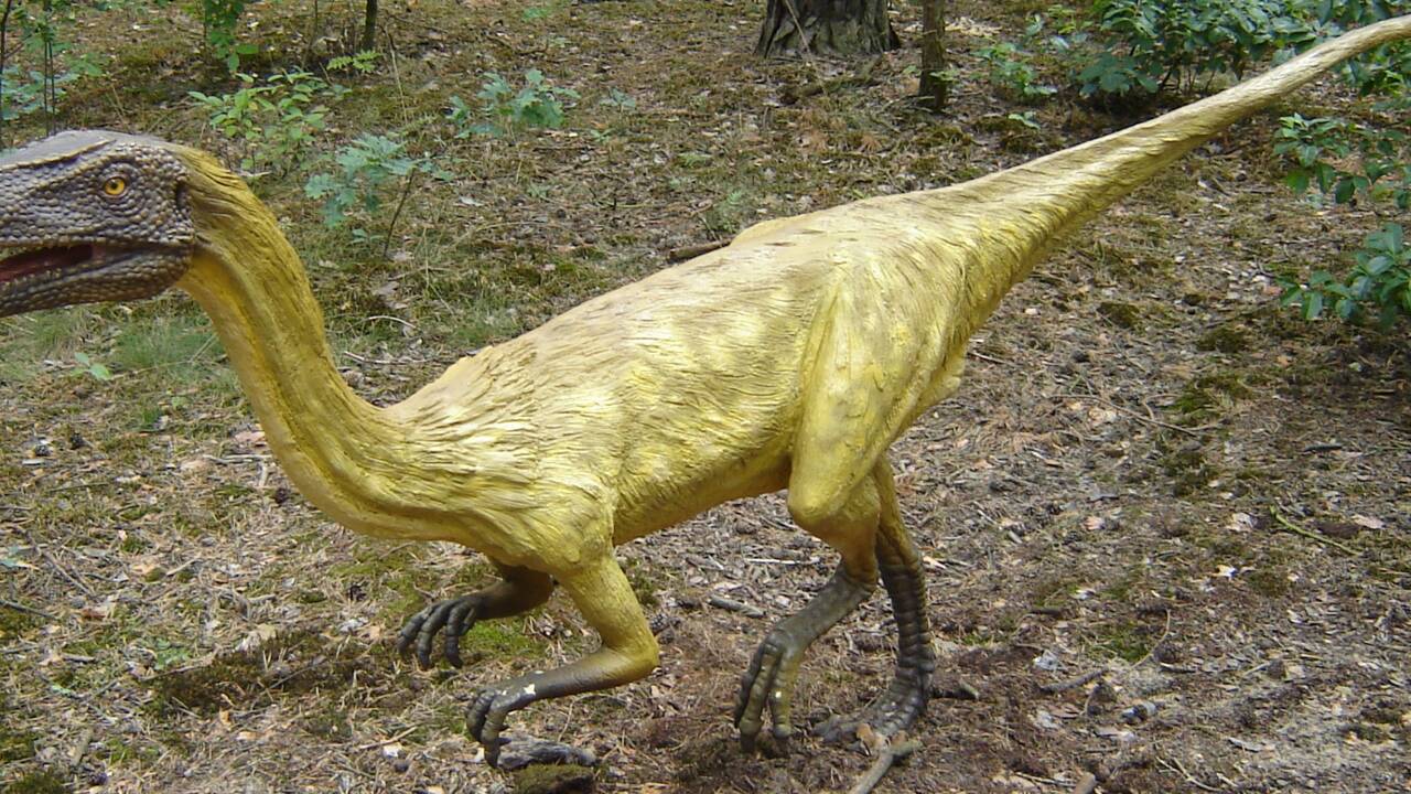 On a peut-être trouvé à quoi servait la queue des dinosaures
