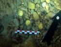 Des plongeurs découvrent un trésor de 50 pièces romaines au large de l'Espagne 