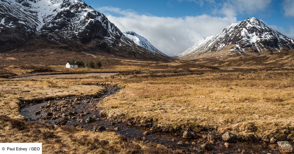 Ecosse Lumiere Sur Un Gigantesque Projet De Reensauvagement Des Highlands Geo Fr Ecosse Lumiere Sur Un Gigantesque Projet De Reensauvagement Des Highlands Geo Fr