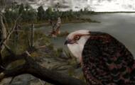 Un site fossile vieux de 15 millions d'années identifié en Australie 3 Un site fossile vieux de 15 millions d’années identifié en Australie