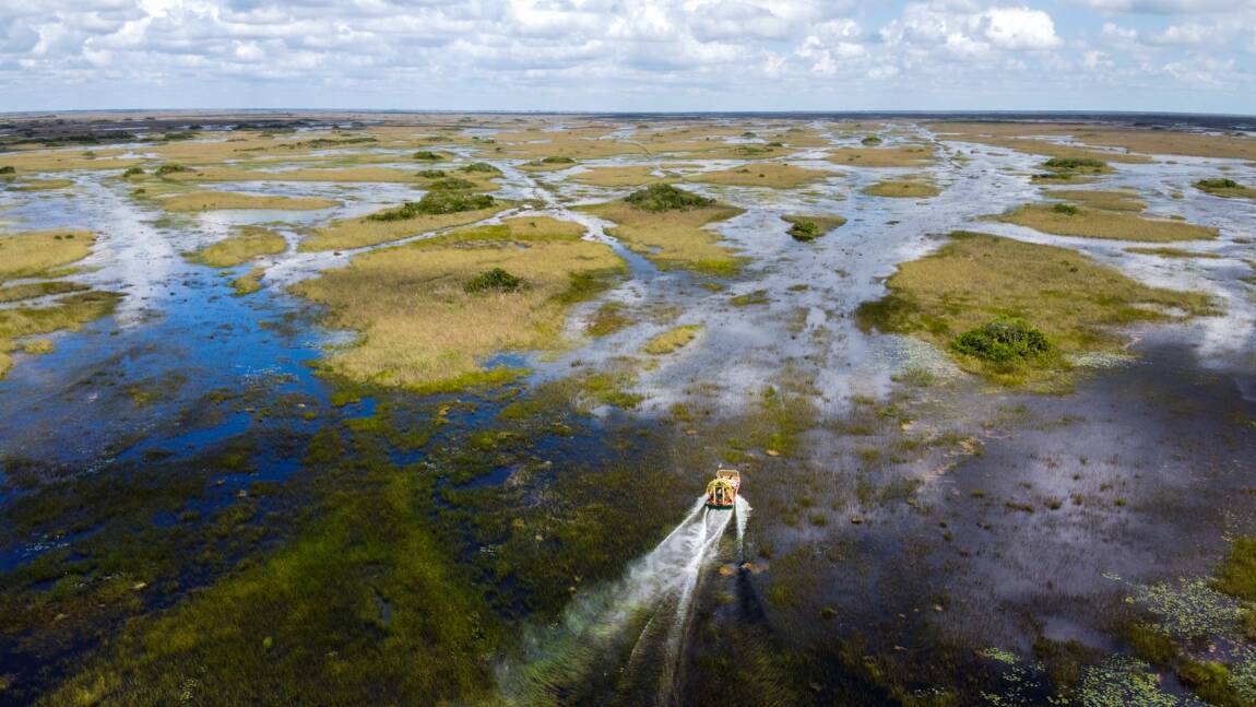 Le marécage des Everglades, un joyau de Floride menacé par le changement climatique