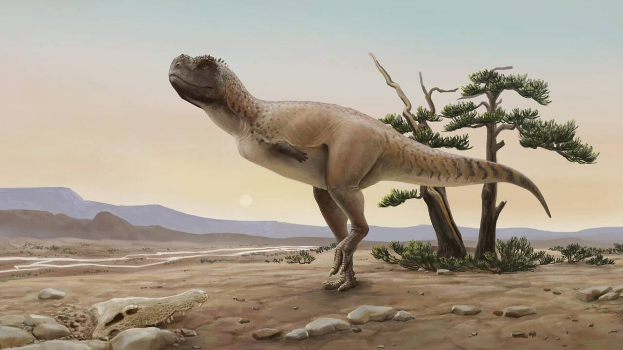 Kurupi itaata, une nouvelle espèce de dinosaure de 70 millions d'années identifiée au Brésil