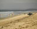 Marée noire en Californie : après la fuite sur un oléoduc, "Surf City" déserté