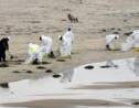 Marée noire en Californie: la fuite sur l'oléoduc peut-être vieille d'un an