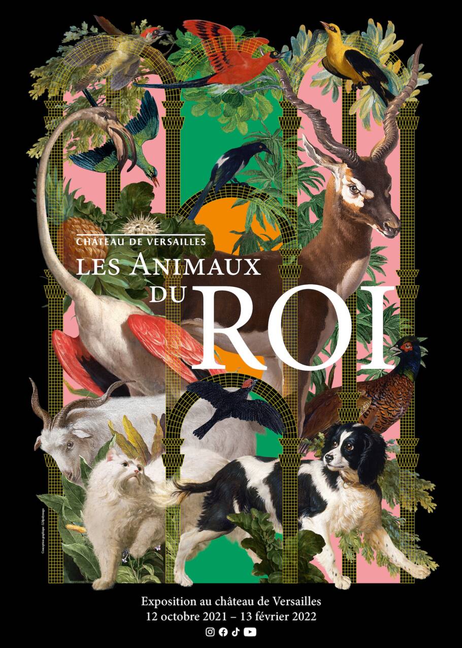 Exposition : les animaux domestiques et exotiques "du roi" s'invitent au château de Versailles