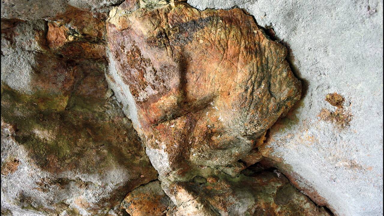 Italie : de nouvelles peintures rupestres d'un oiseau et d'un bovin ont été découvertes dans une grotte 