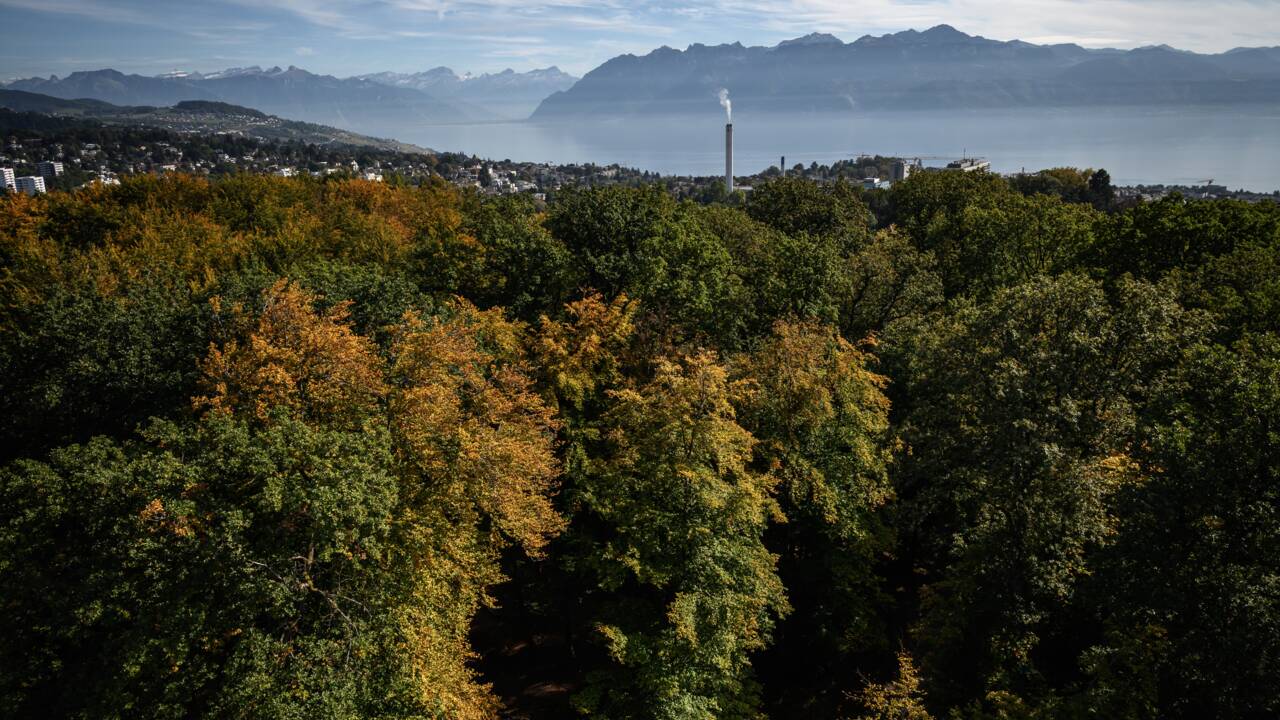 Lausanne, capitale olympique polluée à la dioxine