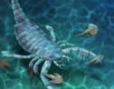Le fossile d'un ancien scorpion de mer de la taille d'un chien découvert en Chine