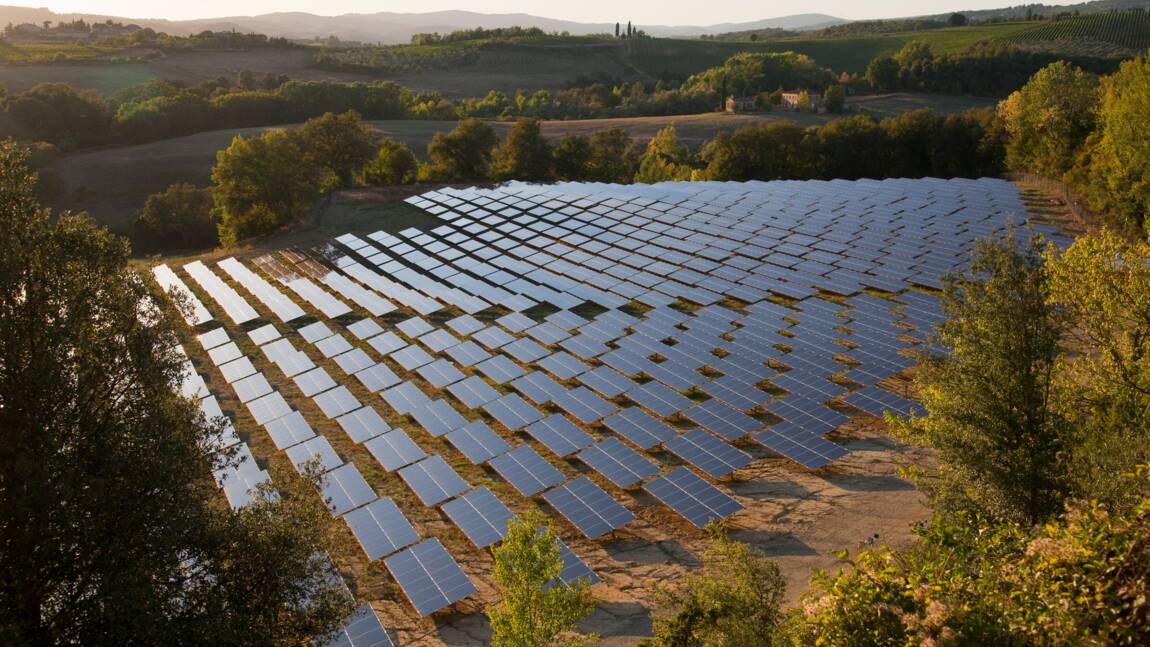 Agrivoltaïsme : pourquoi installer des panneaux solaires sur des cultures agricoles ?