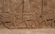 2,700-year-old Assyrian wine presses and bas-reliefs found in Iraq