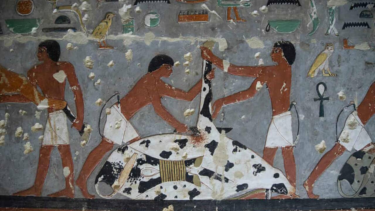 Une momie de 4000 ans trouvée en Egypte pourrait bousculer l'histoire de la momification