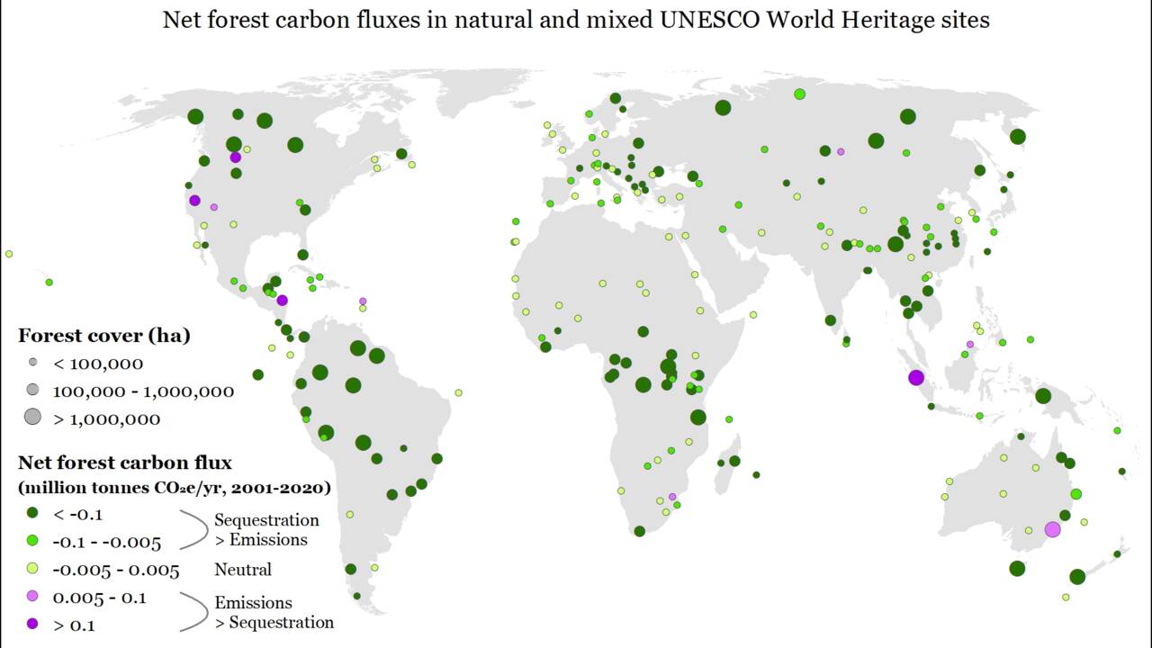 Dix forêts classées par l'Unesco ont émis plus de carbone qu'elles n'en ont absorbé