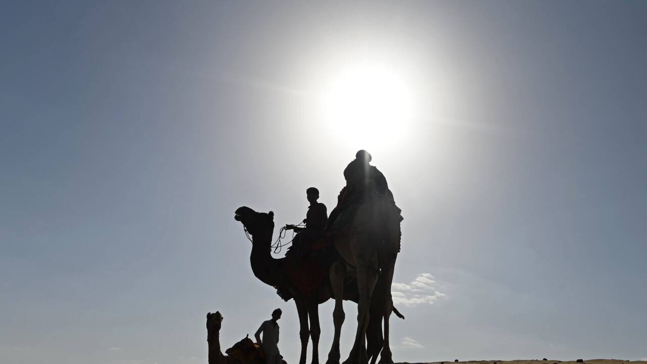 L'Inde veut rentabiliser le désert grâce à l'énergie solaire