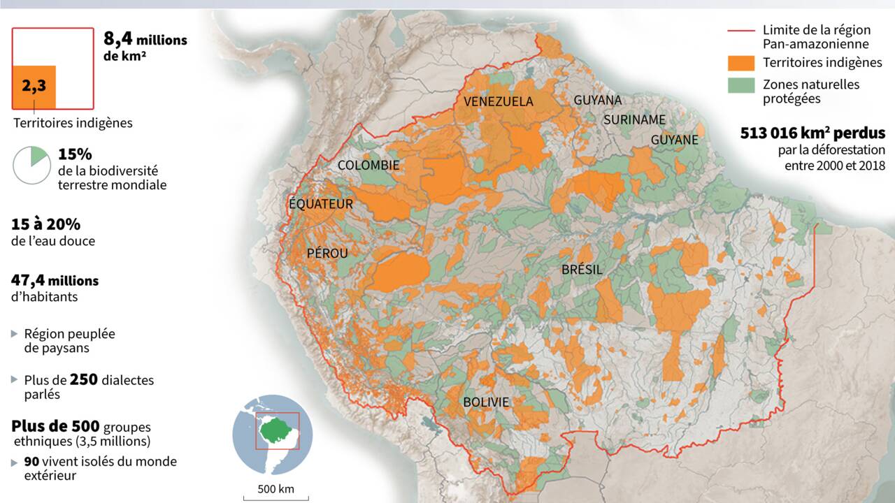 COP26 : quels sont les engagements des dirigeants mondiaux pour enrayer la déforestation ?