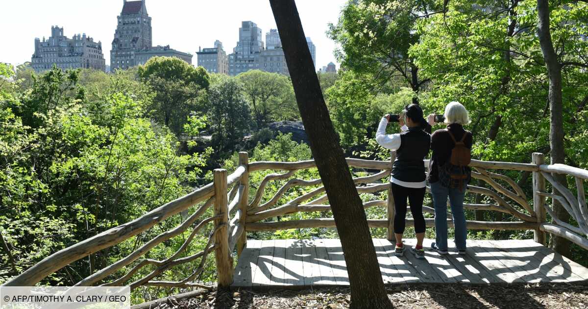 The right to clean water and clean air enshrined in the New York State Constitution