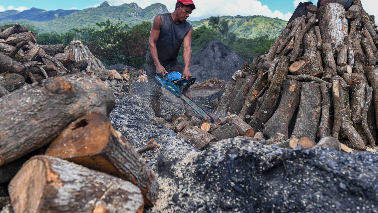Protéger la planète ou conserver son emploi, le dilemme des charbonniers panaméens
