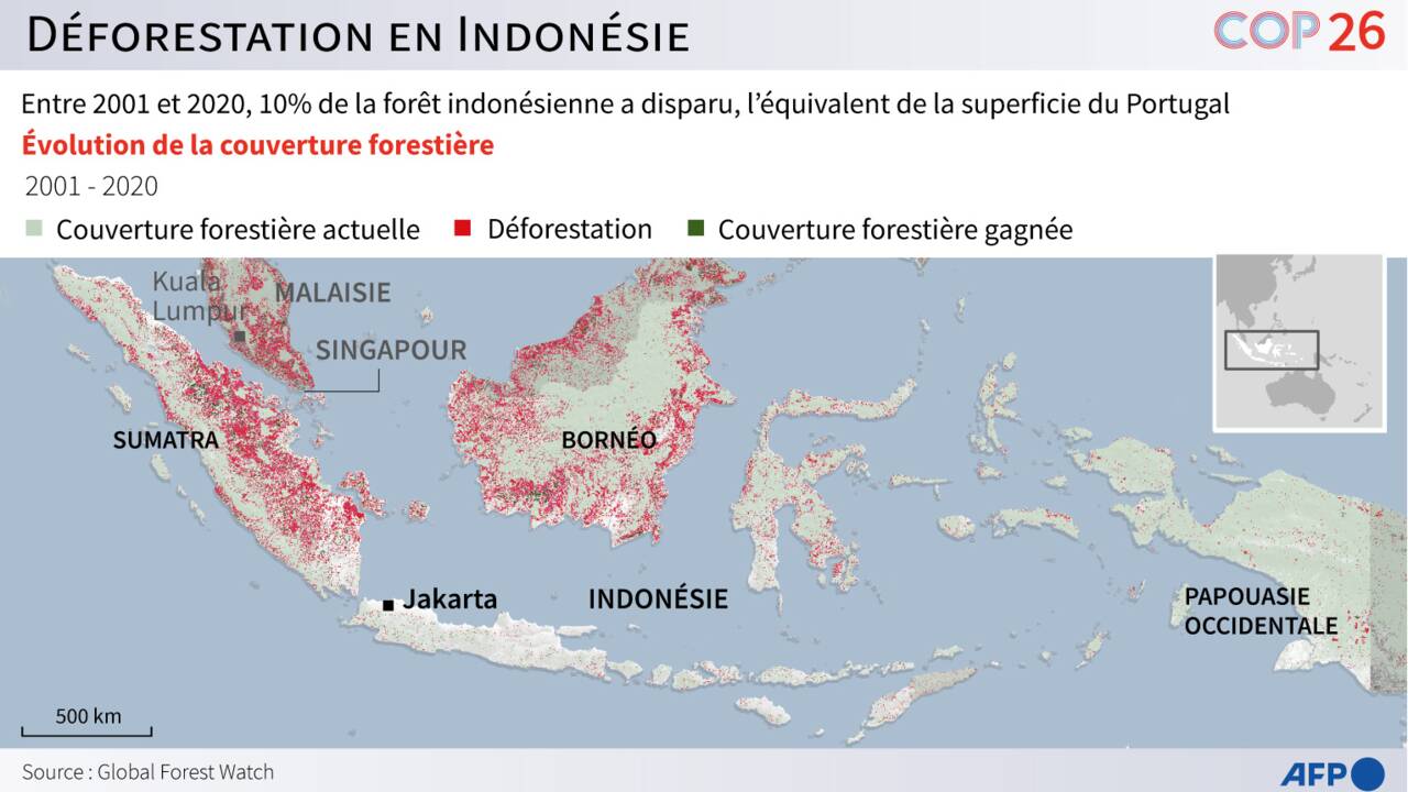 L'Indonésie recule sur l'engagement de mettre fin à la déforestation d'ici à 2030