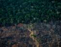 Brésil: déforestation record en Amazonie en octobre