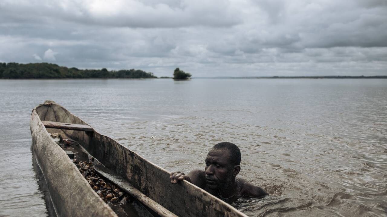 RDC: pêcher dans la mangrove du fleuve Congo