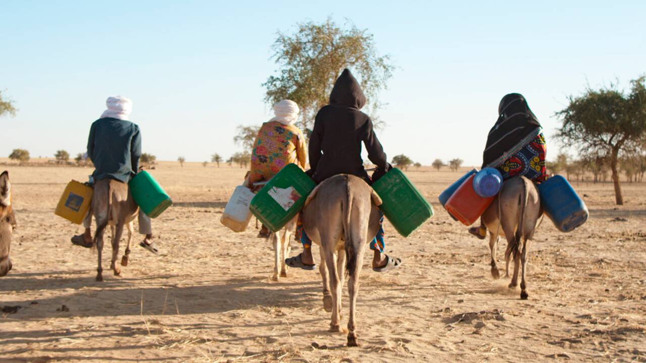 "Marcher sur l'eau", le poignant témoignage d'un village peul du Niger victime du changement climatique