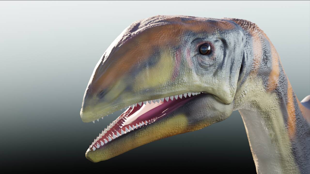Des chercheurs ont découvert une nouvelle espèce de dinosaure au Groenland