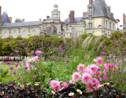 Quelle place le château de Fontainebleau a t-il occupé dans la vie de Napoléon ? 