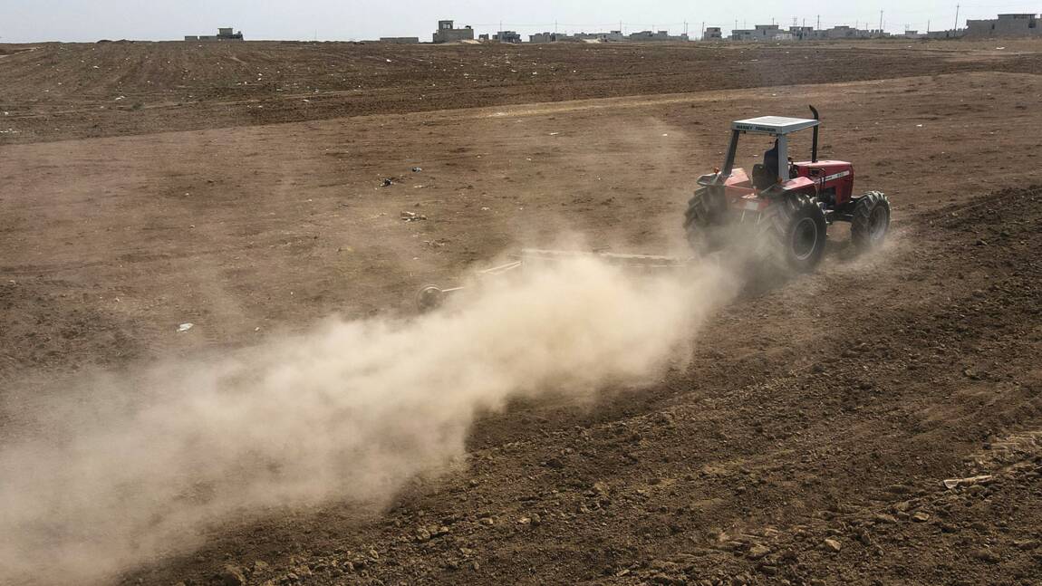 En Irak, la sécheresse pousse les agriculteurs à quitter les champs