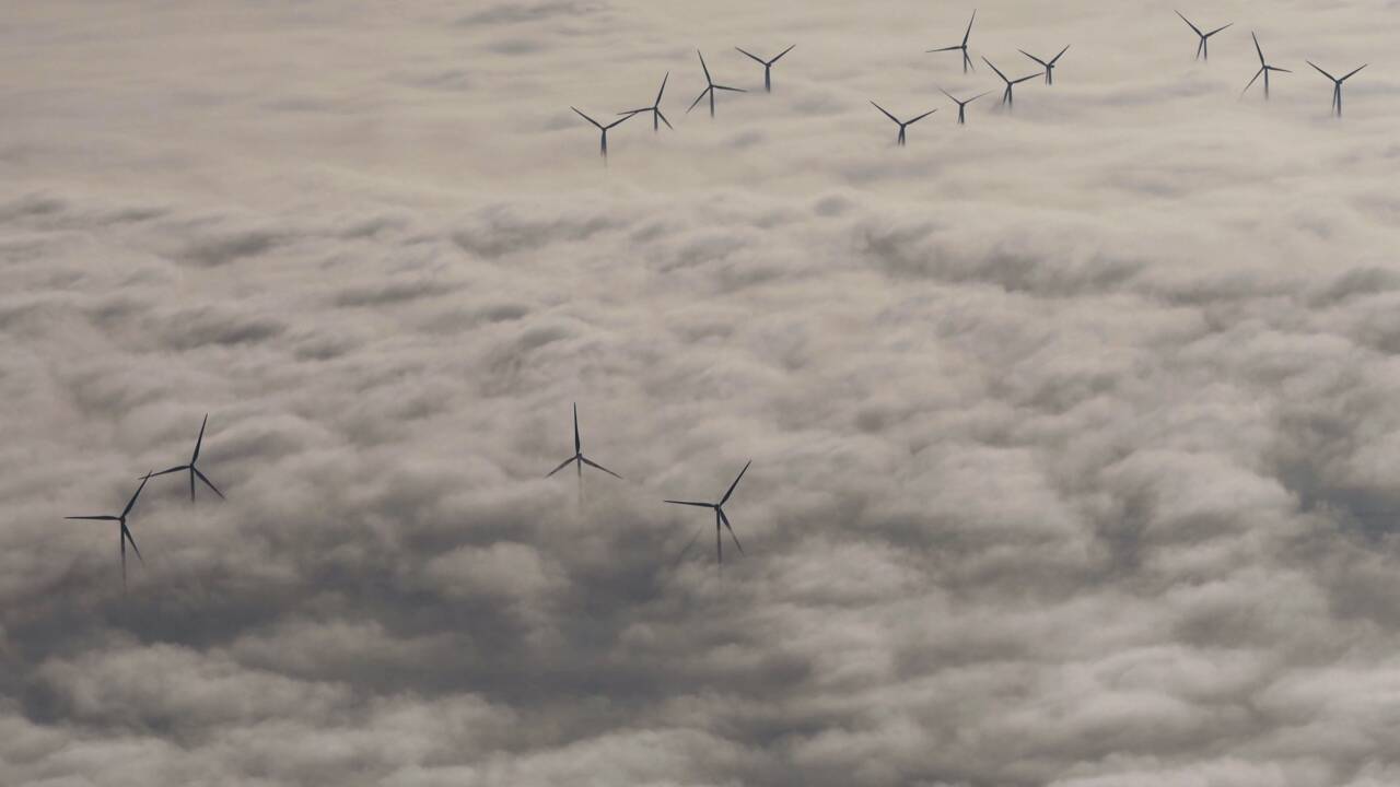 Mieux évaluer l'impact de l'éolien sur la biodiversité pour le réduire