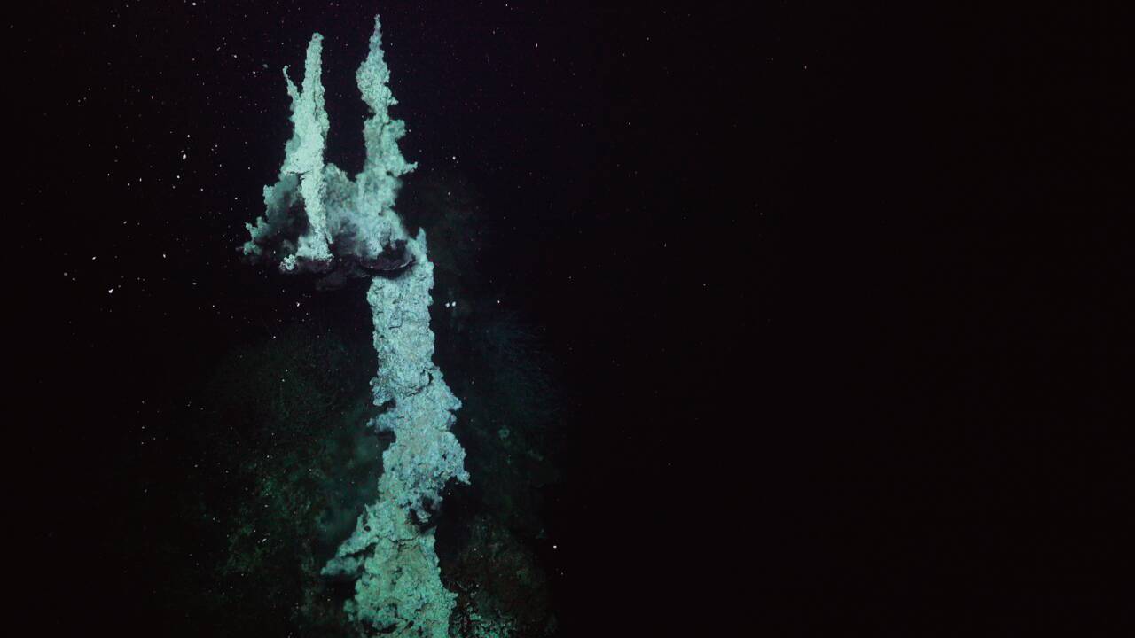 Des cheminées hydrothermales et des vers irisés observés dans les profondeurs du golfe de Californie