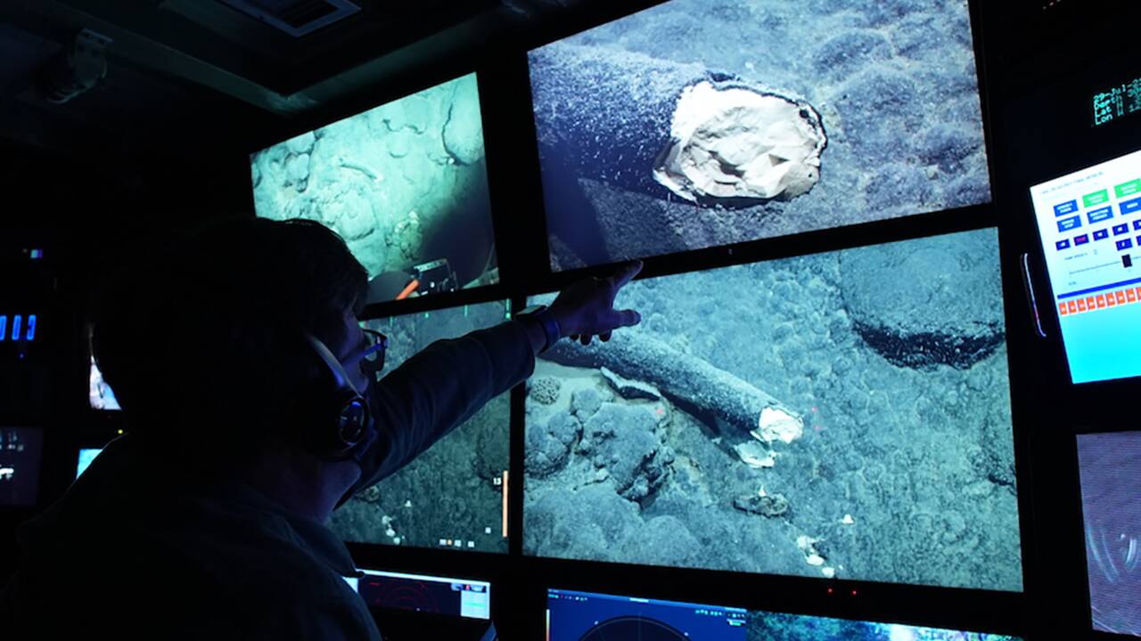 Une défense de mammouth retrouvée à 3000 m de profondeur dans le Pacifique