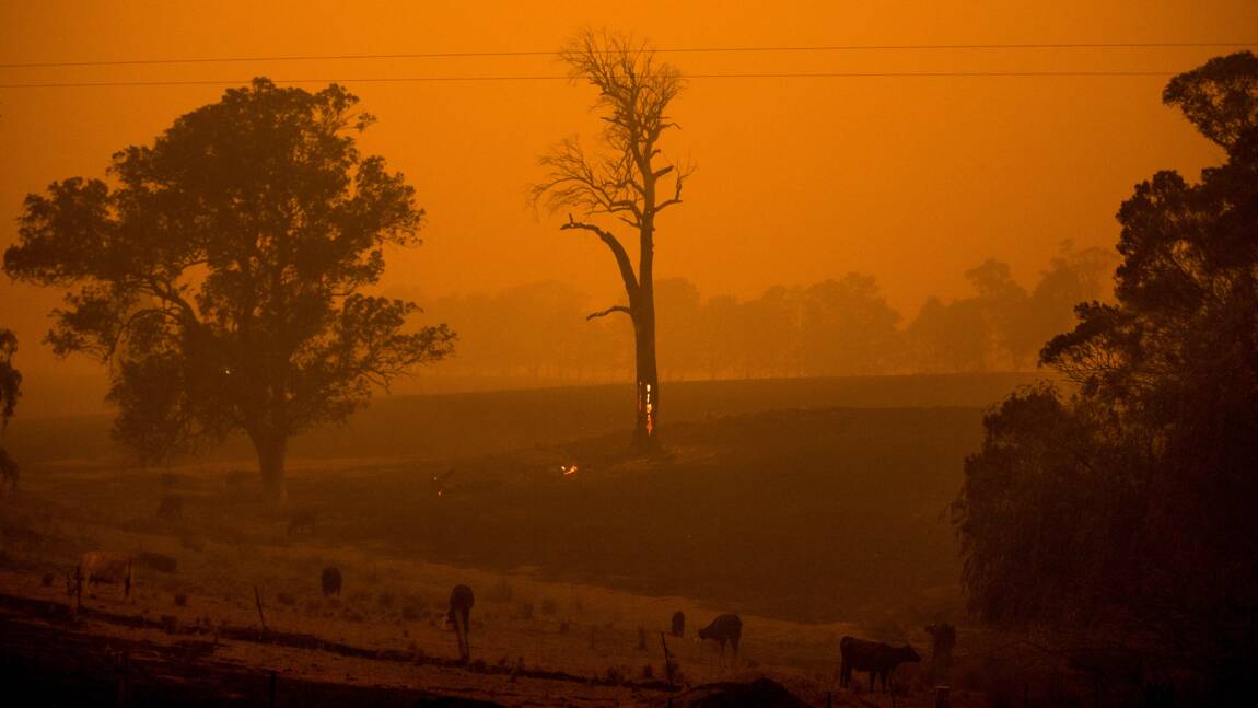 Le changement climatique, facteur "déterminant" des feux de forêt en Australie, selon une étude