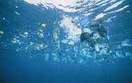Jak satelity mogą pomóc w śledzeniu mikrodrobin plastiku zanieczyszczających oceany