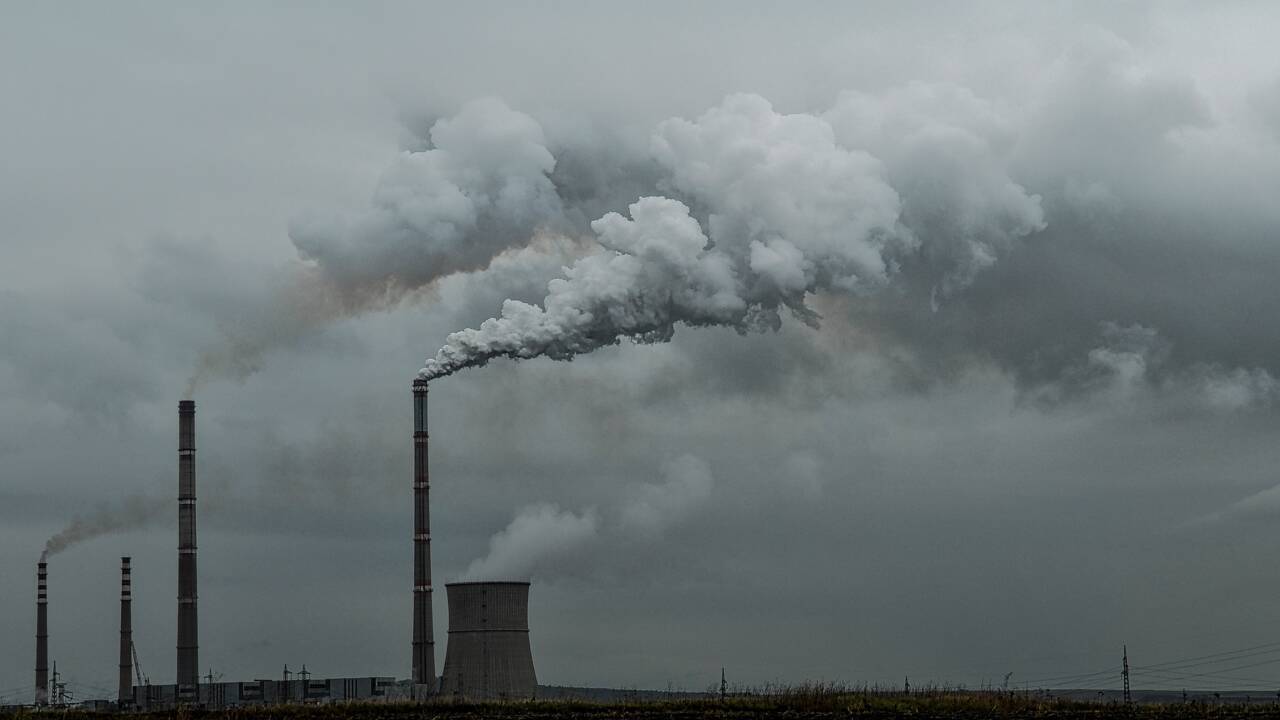 Face aux promesses de neutralité carbone à tout va, les scientifiques s'interrogent